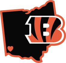 Stylized Logo of the Cincinnati Bengals Football Team