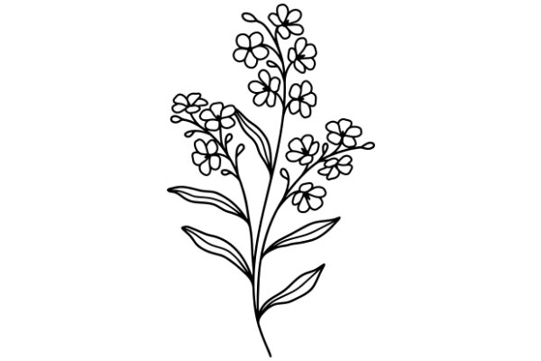 Line Drawing of a Flowering Plant