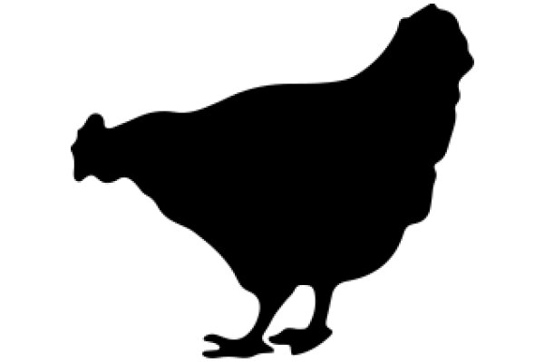 Silhouette of a Chicken: A Symbol of Poultry