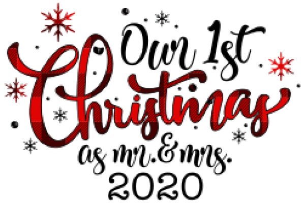 Celebrating the First Christmas of 2020: A Festive Greeting from Mr. & Mrs. 2020