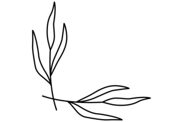 Simplistic Line Drawing of a Plant