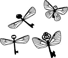 A Collection of Key-Shaped Insects