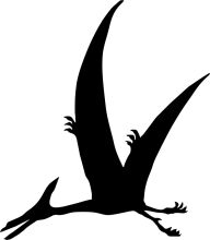 Silhouette of a Flying Dinosaur