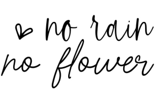 A Simple, Handwritten Message: 'No Rain, No Flower'