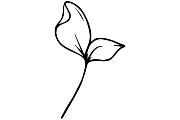 Simplistic Line Drawing of a Flower