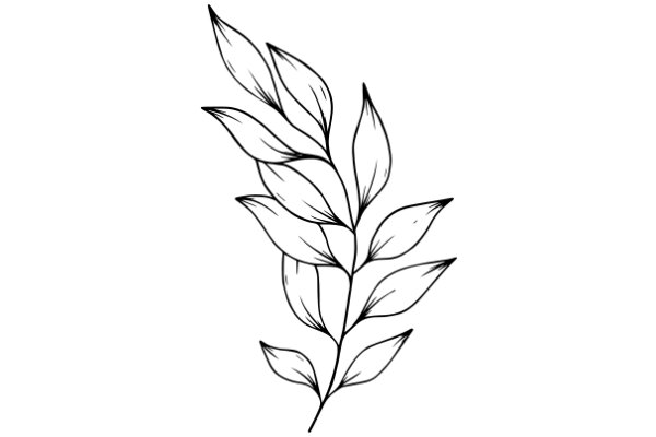 Elegant Botanical Illustration