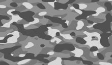 Camouflage Pattern: A Closer Look at the Art of Disguise