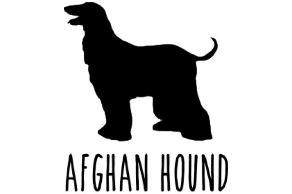 A Silhouette of an Afghan Hound