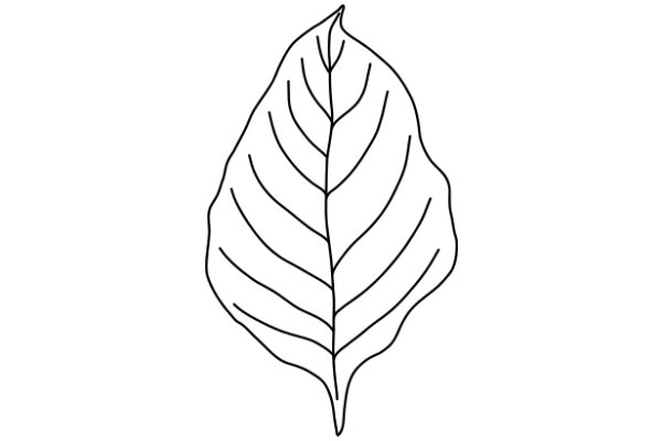 Simplistic Line Drawing of a Leaf