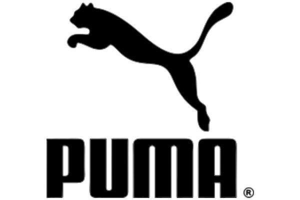 Puma: The Iconic Brand