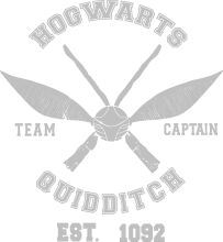 Hogwarts Quidditch Team: Est. 1992