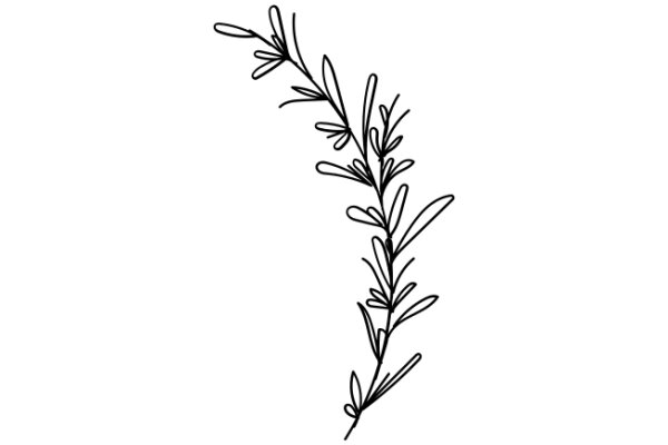 Simplistic Line Drawing of a Branch with Leaves