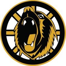 A Graphic Logo of a Bear's Head with a Sports Team Design