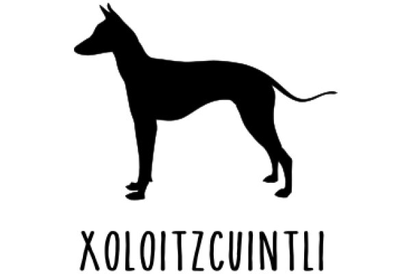 Xoloitz Cuinți: The Silhouette of a Loyal Companion