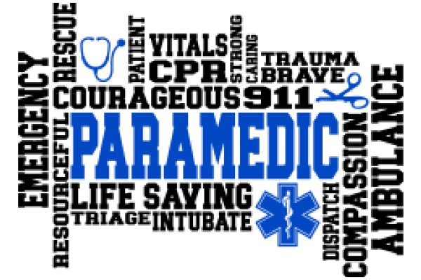 Emergency Medical Services: A Word Cloud of Key Terms and Phrases