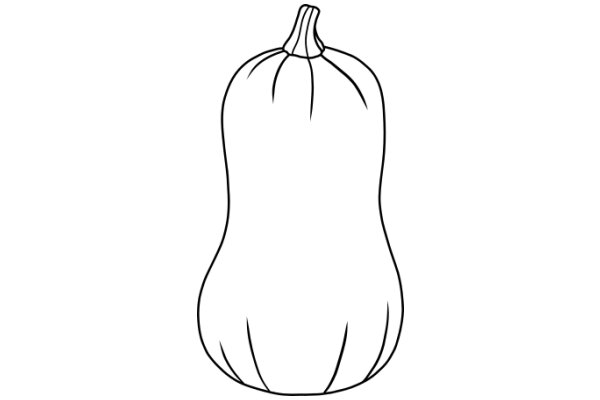 A Simple Line Drawing of a Garlic Bulb