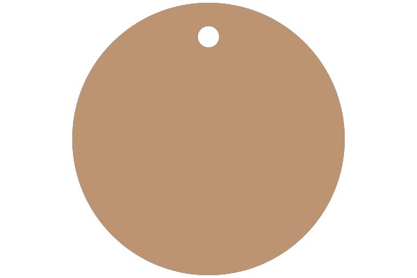 A Solid Brown Circle with a Hole in the Center