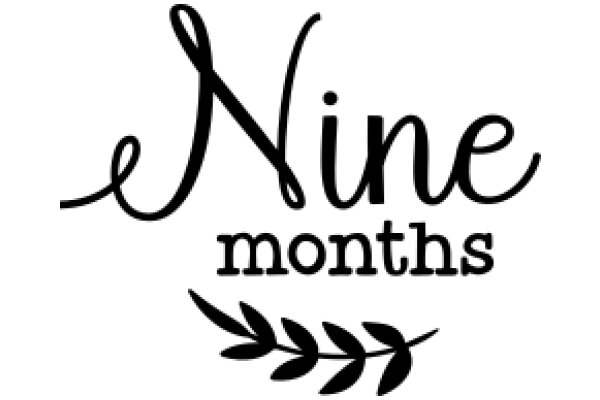 Nine Months: A Graphic Design Showcase