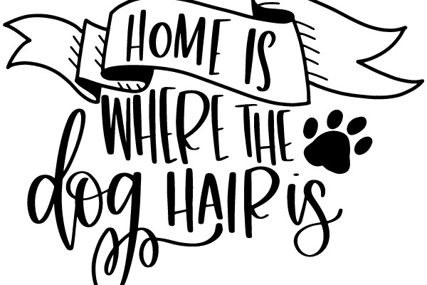 Home is Where the Dog Hairs