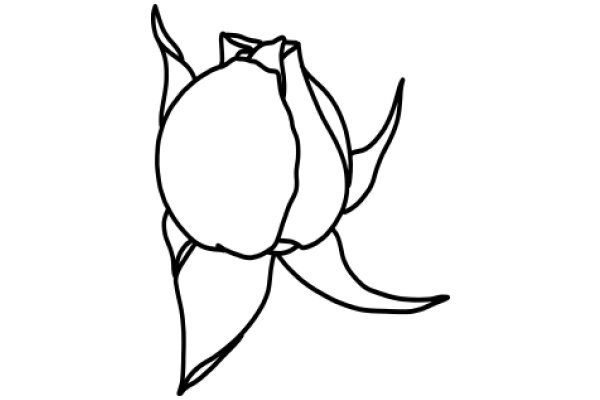 Stylized Line Drawing of a Rose