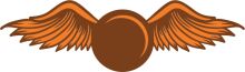 Stylized Orange Wings with a Brown Ball