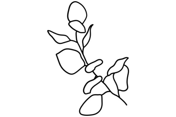 Simplistic Line Drawing of a Flower