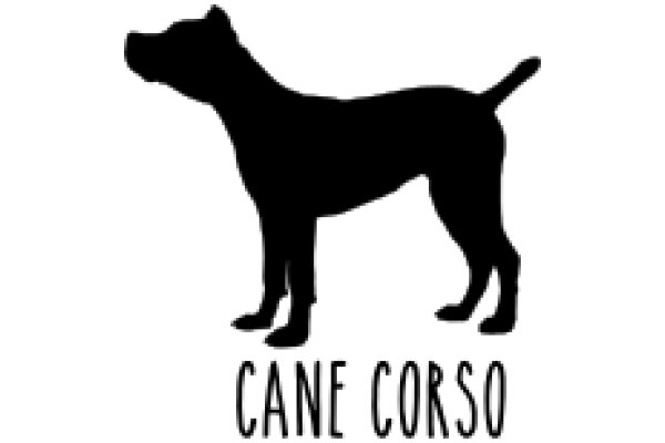 Cane Corso: A Silhouette of a Majestic Dog Breed