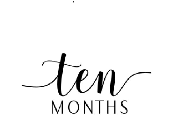 Ten Months: A Visual Guide to the Developmental Milestones of a Pregnancy