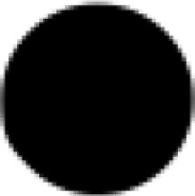 A Solitary Black Circle Amidst a White Background