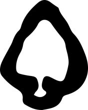 A Black and White Silhouette of a Clover-like Shape