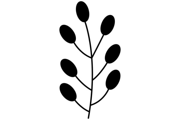 Illustration of a Plant with Round Leaves