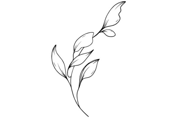 Elegant Line Art of a Flowering Plant