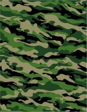 Digital Camouflage: A Modern Art Form