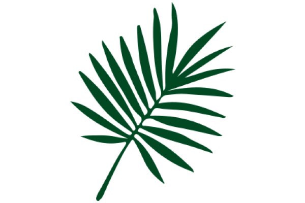 Simplicity in Design: A Single Palm Leaf