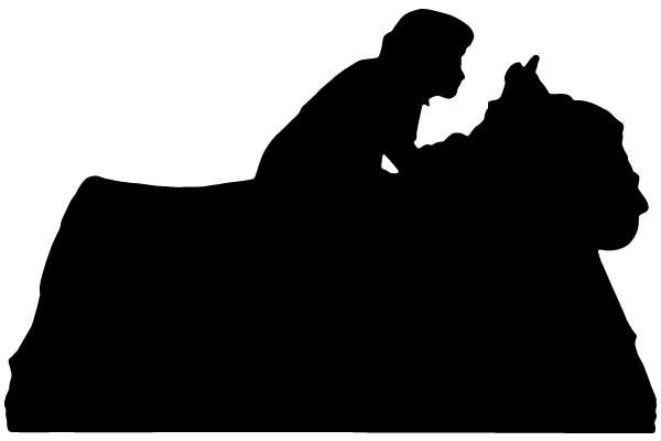 Silhouette of a Person Riding a Horse