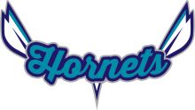 Hornets Logo: A Symbol of Team Spirit and Pride