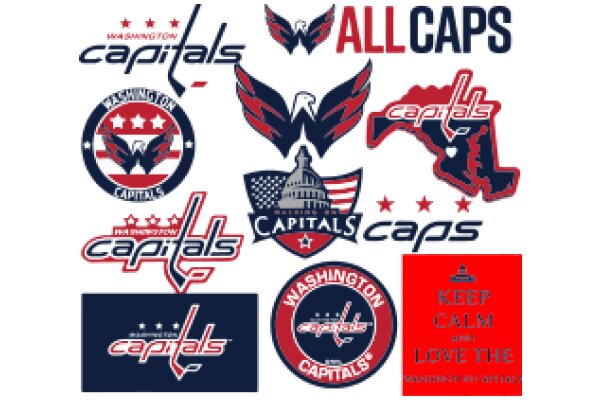 A Collection of Washington Capitals Logos and Slogans