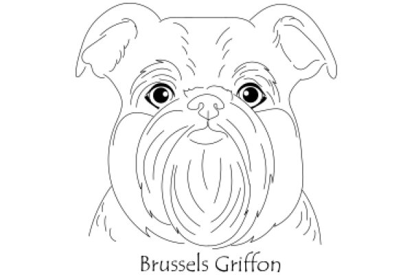 Brussels Griffon: A Breed of Distinction