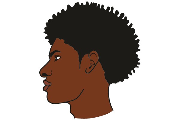 A Stylized Portrait of a Man with Afro Hair