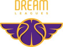 Dream Leagues: A Graphic Design of a Purple Basketball Logo