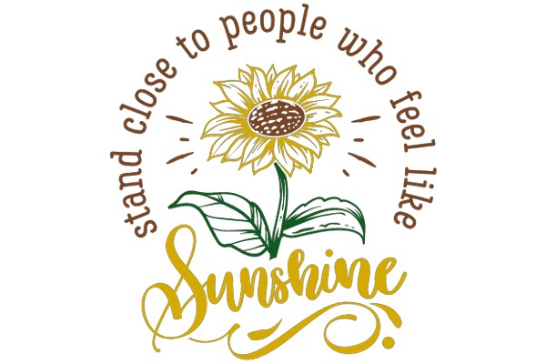 Sunshine: A Symbol of Positivity and Happiness