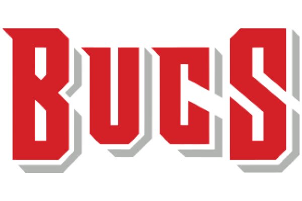 Bold and Stylish Logo for the Tampa Bay Buccaneers