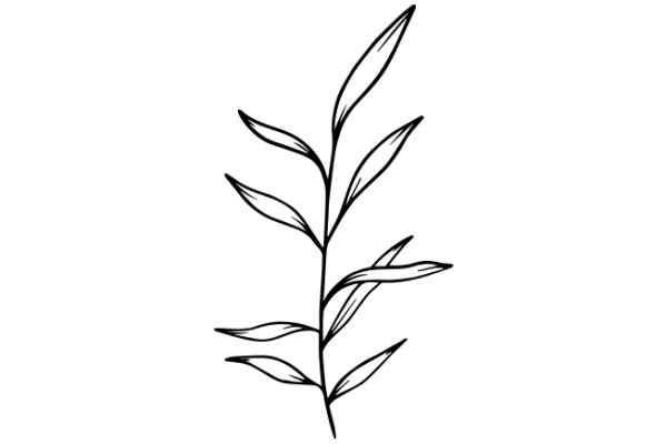 Simplistic Line Drawing of a Plant