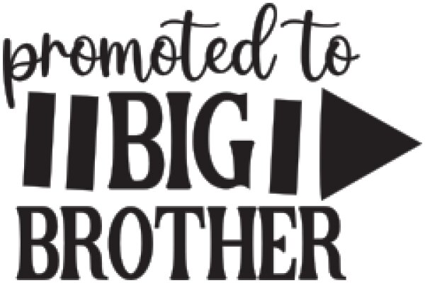 Promoted to Big Brother: A Journey of Transition and Growth