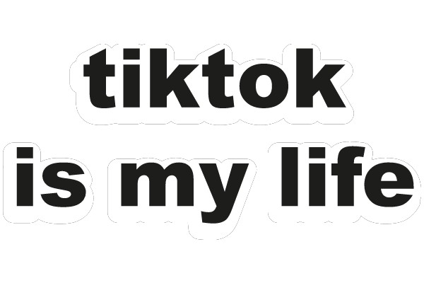 TikTok: The Life of a Social Media Phenomenon