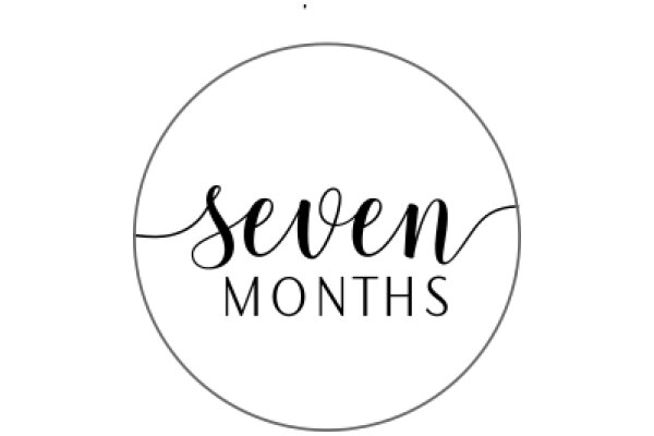 Seven Months: A Visual Chronicle of Time