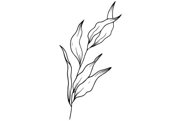 Stylized Line Drawing of a Plant with Curved Leaves