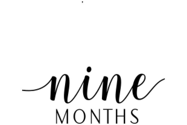 Nine Months: A Graphic Design of a Calendar