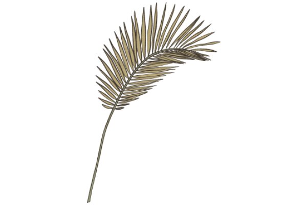 Stylized Illustration of a Feather-like Plant