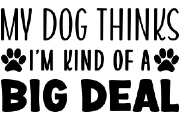 A Dog's Perspective: My Thoughts on Being Kind to a Big Deal